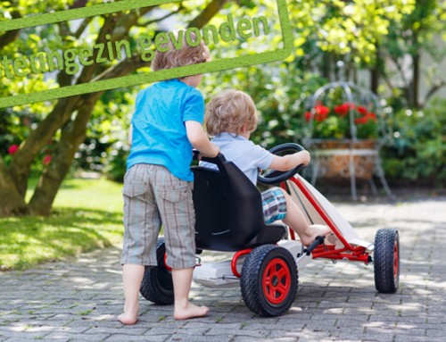 Gezellig en liefdevol steungezin gezocht voor 2 broertjes