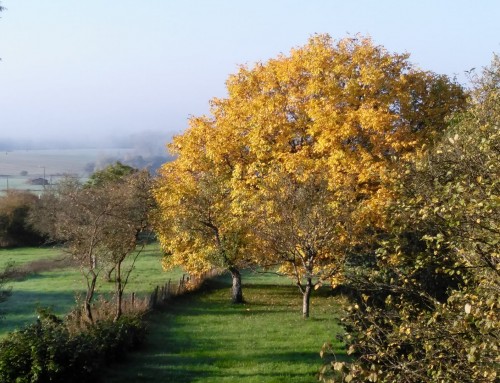 Prachtige ontmoetingen