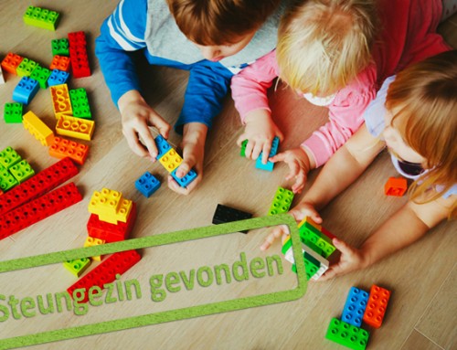 Vrolijke 2-jarige jongen speelt graag met andere kinderen