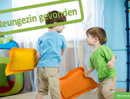 Deze broertjes komen graag bij jullie spelen!