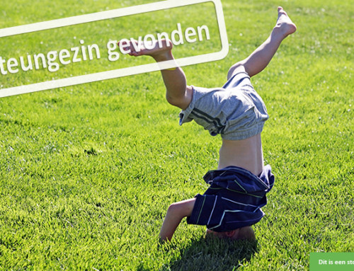 Ben of ken jij de steunfiguur voor deze nieuwsgierige lieverd (5)?