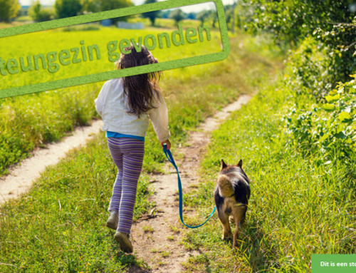 Deze 9-jarige zoekt een fijne vertrouwde plek