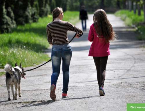 Gezelligheid voor een meisje van 11 jaar