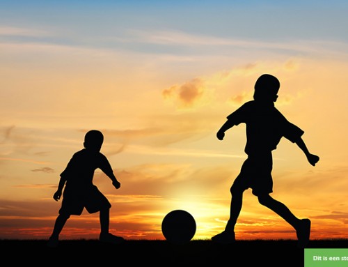 Wil jij het verschil maken voor 2 broertjes?