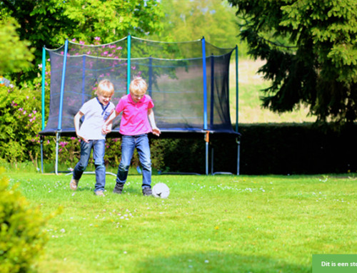 Gezellige speelplek gezocht voor twee broers (5 en 7 jaar)