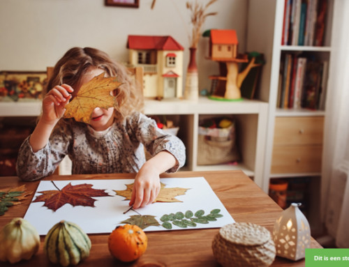 Wie wil samen knutselen met een lieve meid?