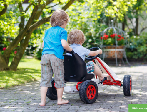 Bij wie mogen wij een middagje komen spelen?