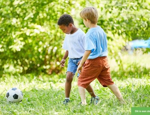 Potje voetbal en gezelligheid met vrolijke broers!