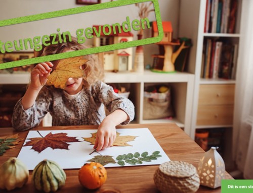 Wie wil samen knutselen met een lieve meid?