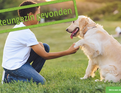 Bij wie mag deze lieve, avontuurlijke jongen van 11 jaar?