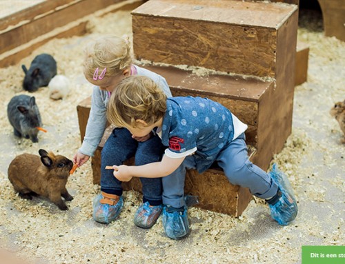 Nemen jullie deze vrolijke kleuter mee naar de kinderboerderij?