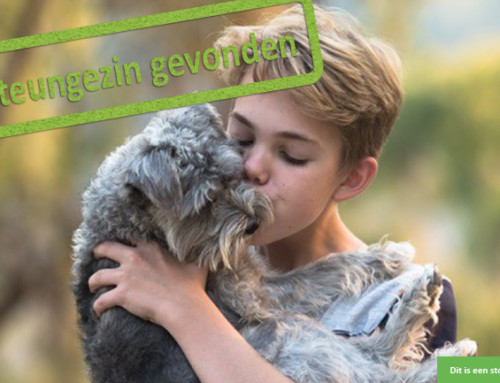 Heb jij plek voor deze kleine dierenvriend?