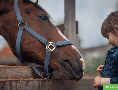 Dierenliefhebster zoekt knuffelpaard…