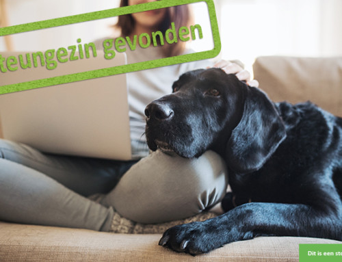 Mag deze jongedame met jouw hond op stap?