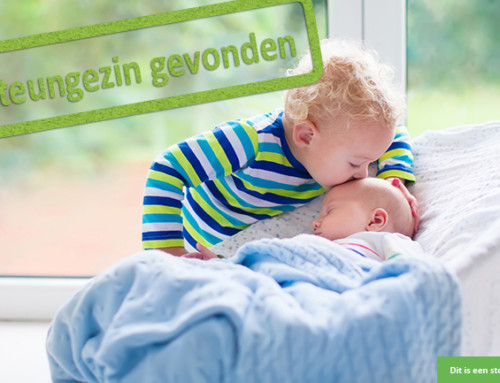 Lief kleutertje en zijn babybroertje zoeken oma en opa!