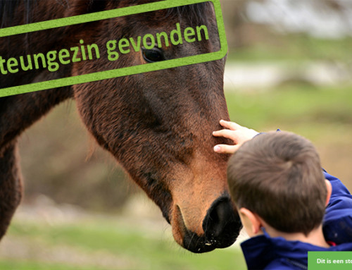 Gezellige dierenvriend zoekt klusjes