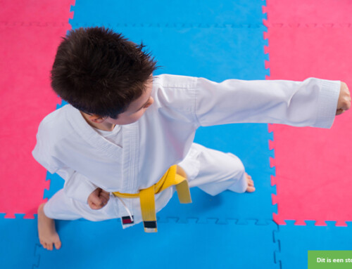 Vrolijke jongen zoekt speelgezin in Wageningen