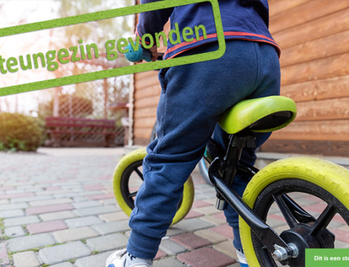 Mag deze vrolijke peuter met jullie ravotten?