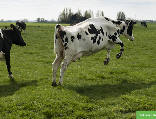 Mag ik jullie komen helpen op de boerderij?