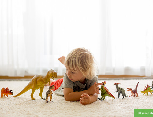 Dino-maatje gezocht voor jongetje (3)