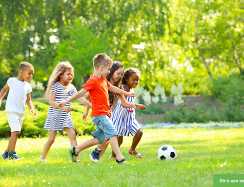 Rustige voetballiefhebber (6) zoekt weekendplekje