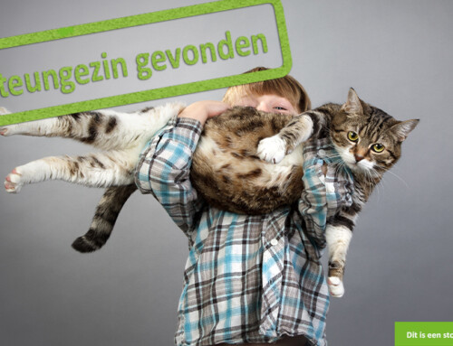 Grappenmaker zoekt warm nest met een grote kat of hond