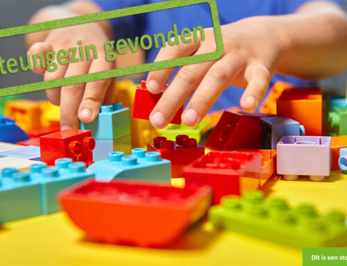Bij wie mag een lieve jongen met LEGO komen spelen?