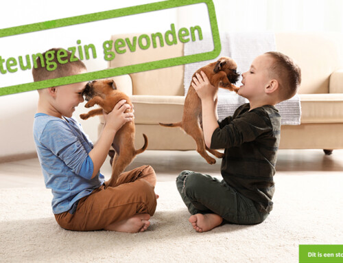 Gezelligheid gezocht voor twee vrolijke kanjers