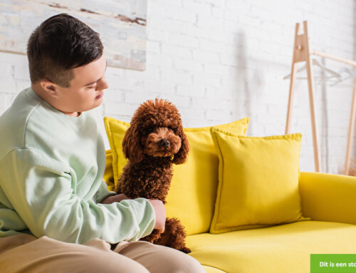 Wie heeft er zaterdag tijd voor deze vrolijke jongen ?