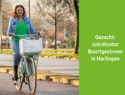 Coördinator Harlingen