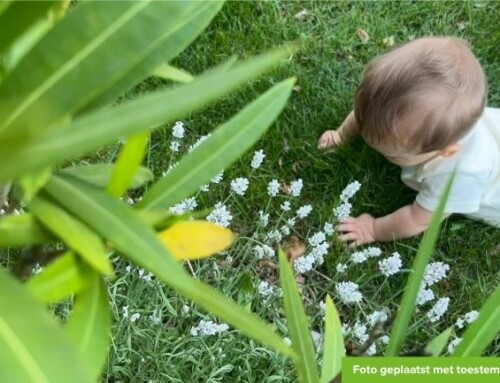 Kleine meid wil met jullie op pad!