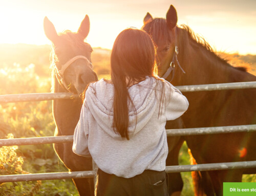 Steungezin gezocht voor een 8 jarige grote kleine meid