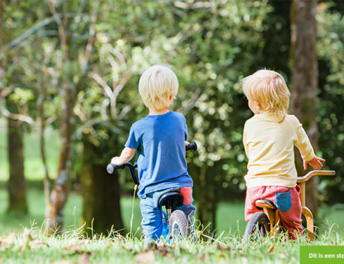 Zin in fijne speelafspraakjes in Westwijk?