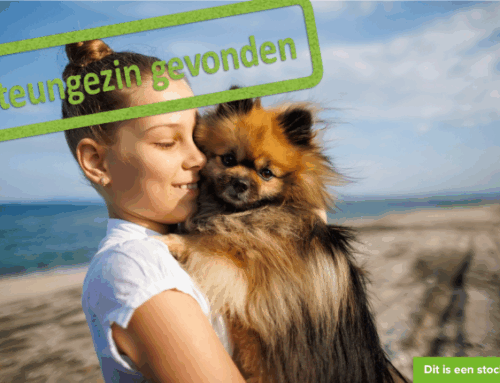 Mag deze lieve meid af en toe bij jullie?