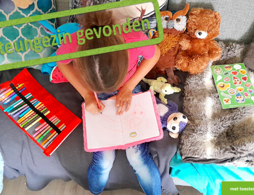 Fijn speelplekje gezocht voor dierenvriend (9)