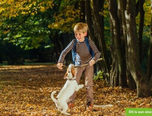 Deze dierenvriend zoekt een speelplek