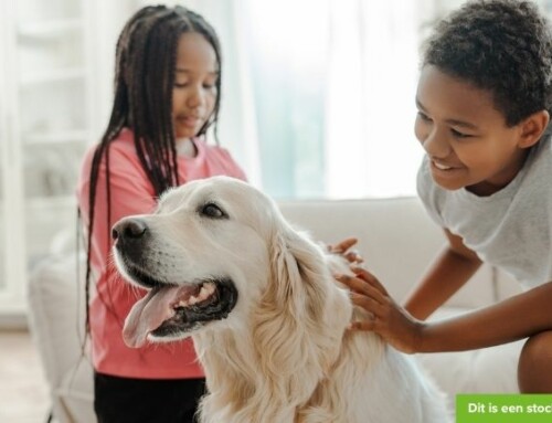 Wie heeft er een warm plekje voor deze 2 zonnestralen?