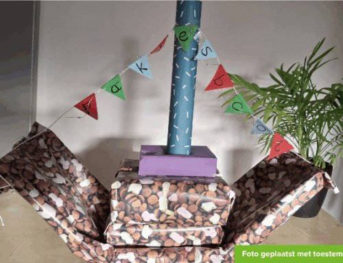 Creatieve vriendin gezocht voor een bijzondere jongedame (21)