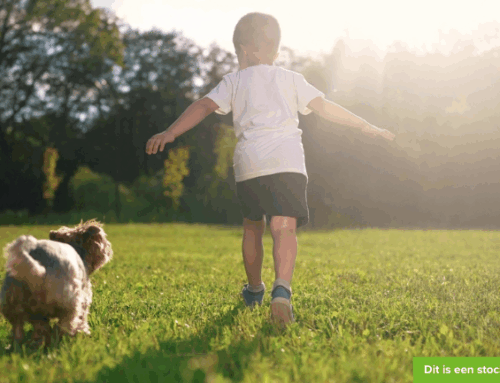 Dierenliefhebber (bijna 4) zoekt speelmaatje!