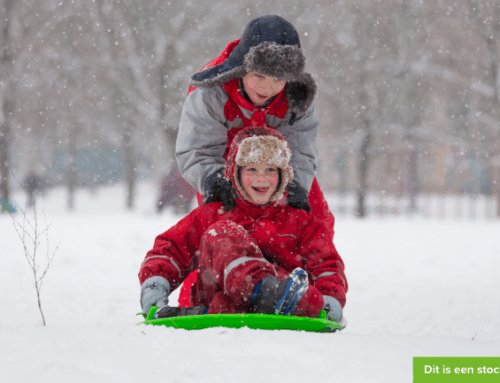 Twee actieve jongens willen graag komen spelen!