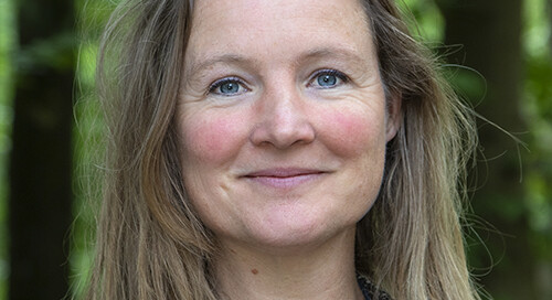 foto van Anoek Bleumer