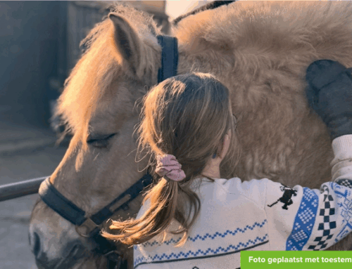 Dit paardenmeisje heeft een wens…