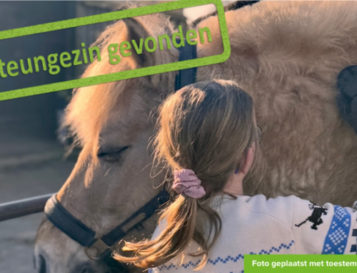 Dit paardenmeisje heeft een wens…