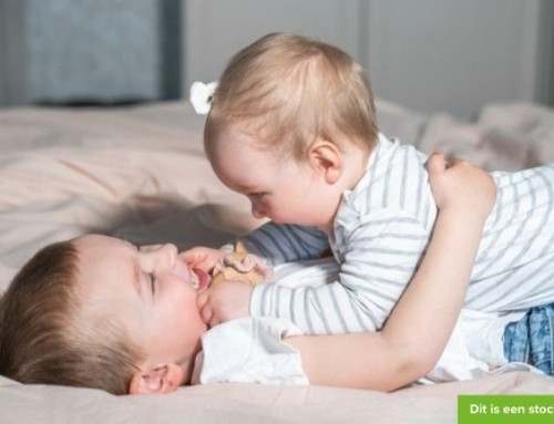 Twee vrolijke broertjes komen graag bij jullie spelen
