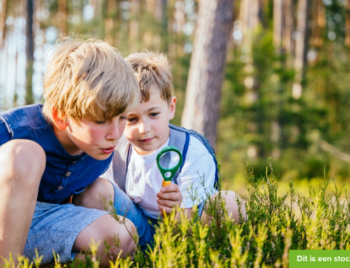Twee nieuwsgierige broers willen graag komen spelen!