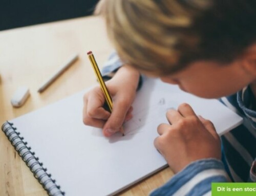 Kleine lijntjes, grote stappen…