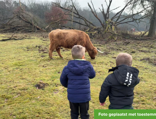 één kijkt, één klimt…. wie vangt ze af en toe op?