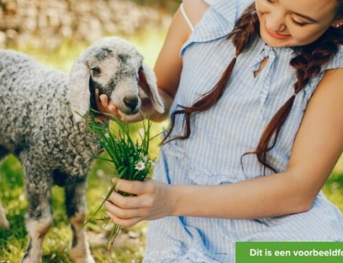 Gun jij dit zorgzame meisje een fijne plek om te spelen?