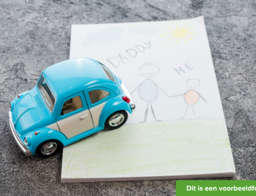 Little car expert, big adventure; who’s joining in?