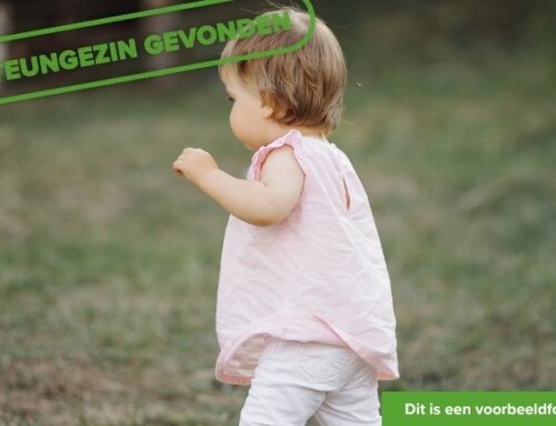 Warm steungezin gezocht voor vrolijk meisje van 1,5 jaar